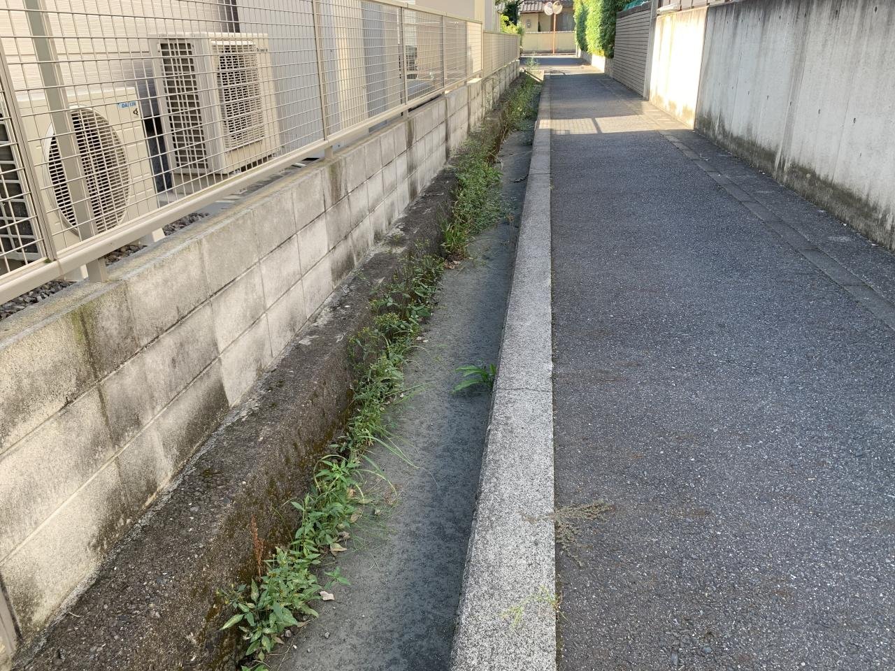 水路の雑草