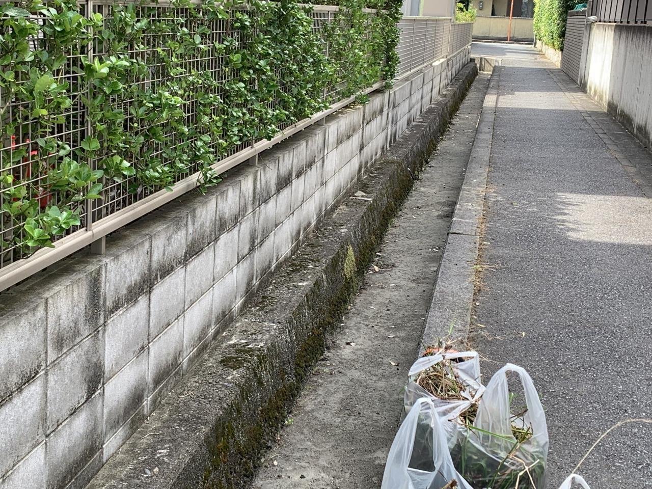 雑草除去