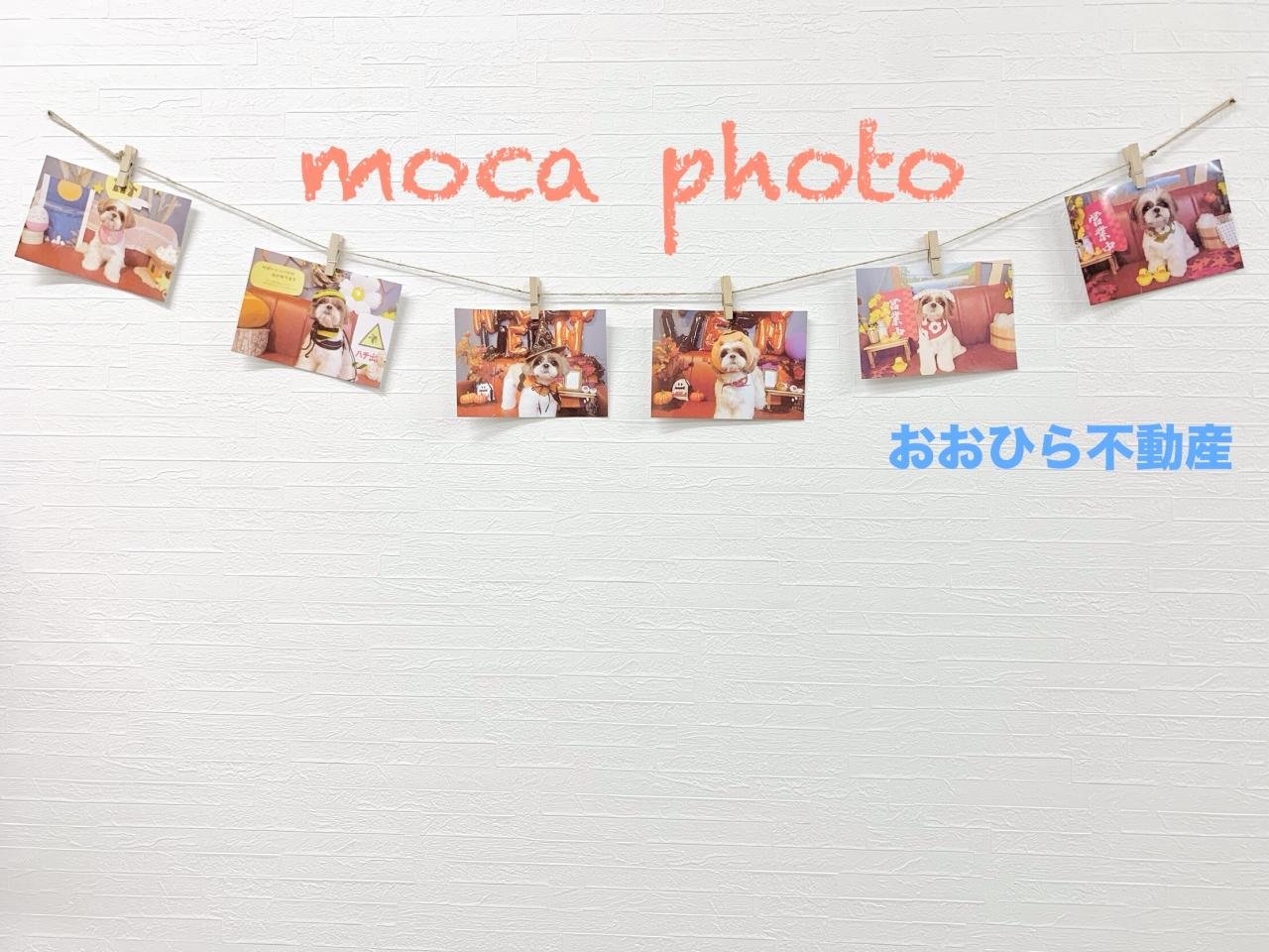 moca photo 